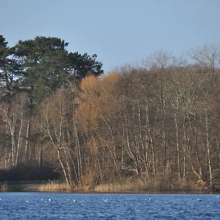 Ferienwohnung In Am Suhrer See * Plön